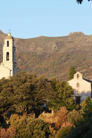Autum provence