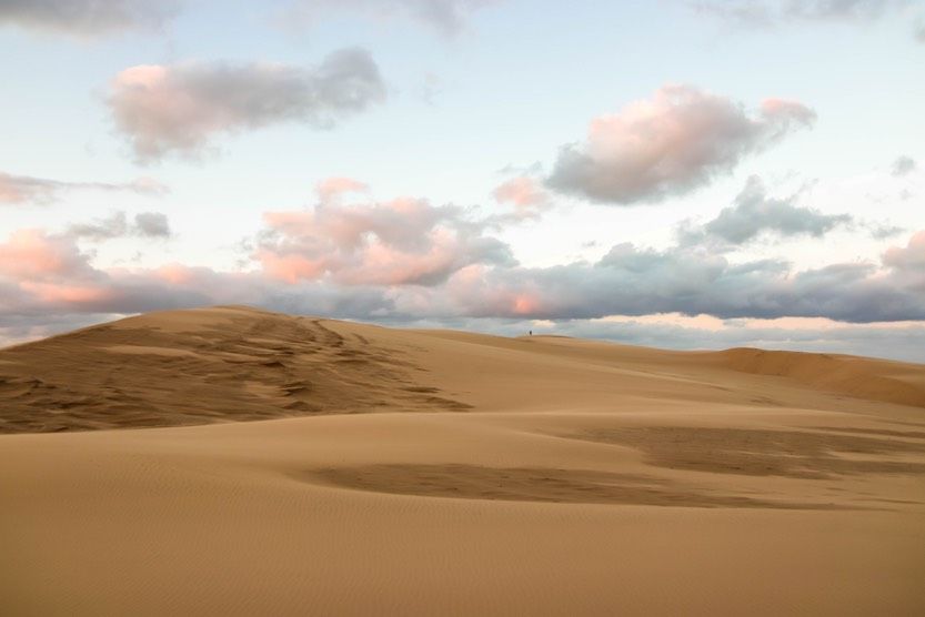 Cap-ferret-hiver-dune-pilat