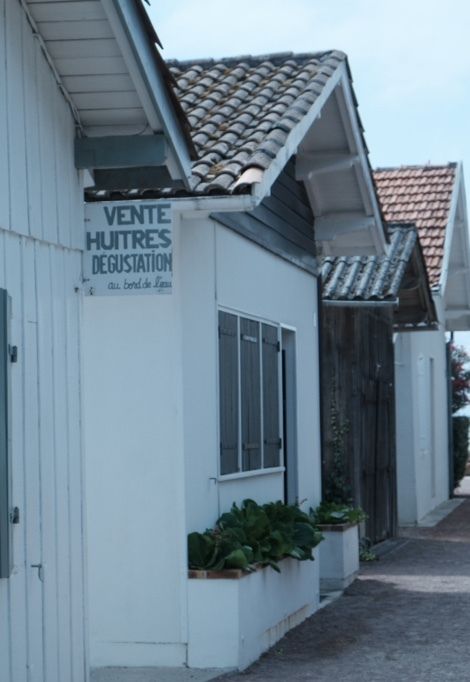 Cap-ferret-oysters-min