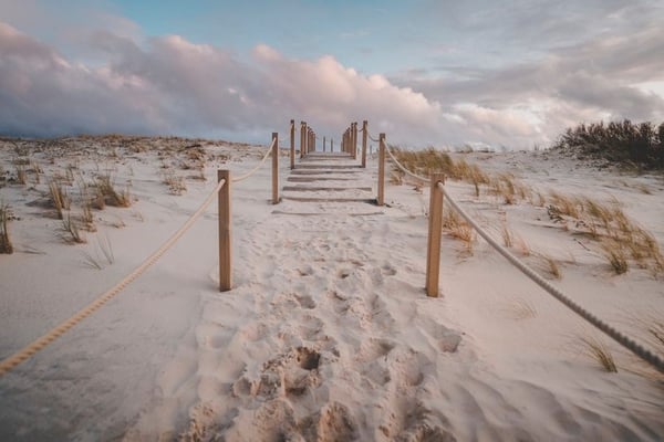 Cap-ferret-surf-dream-spot