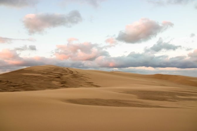 Cap-ferret-winter-dune-pilat