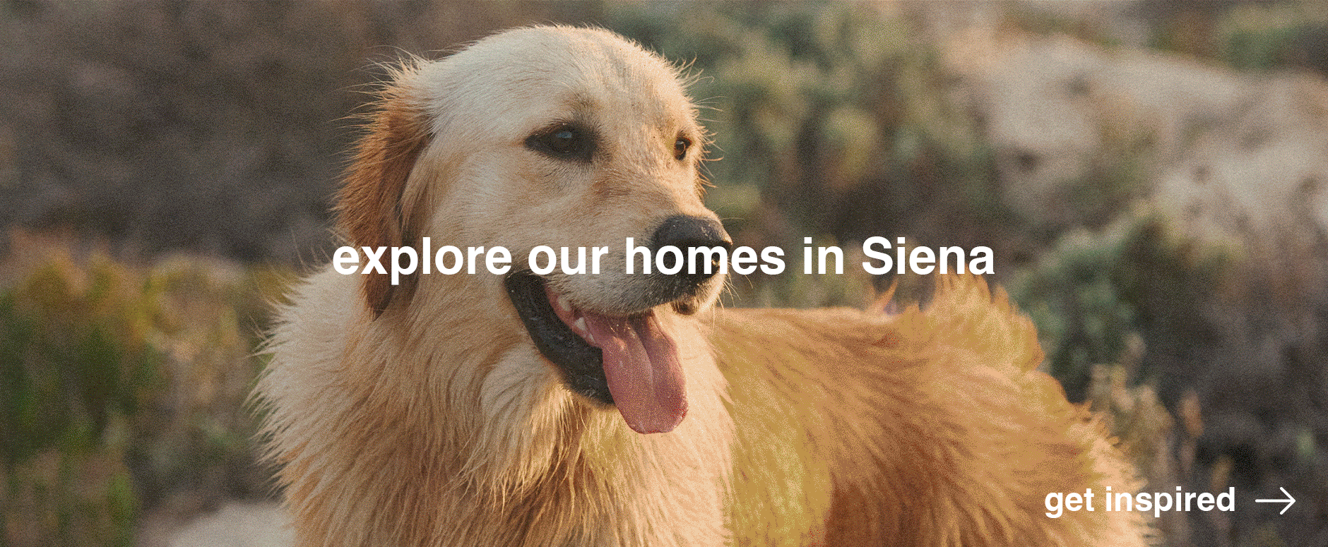 Explore our homes in Siena 