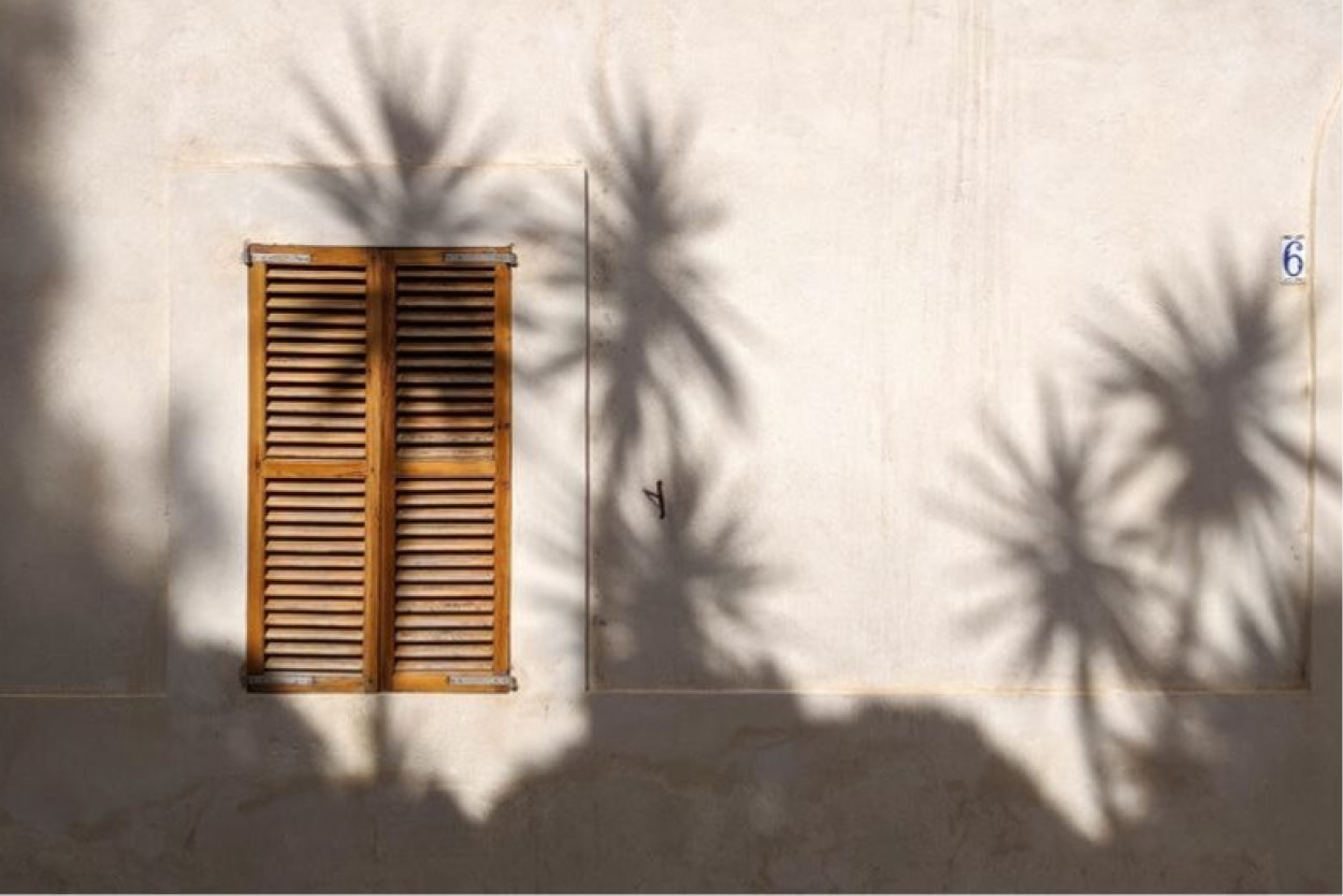 Ibiza-en-mai-un-printemps-sur-lile-blanche-palmiers-fenetre