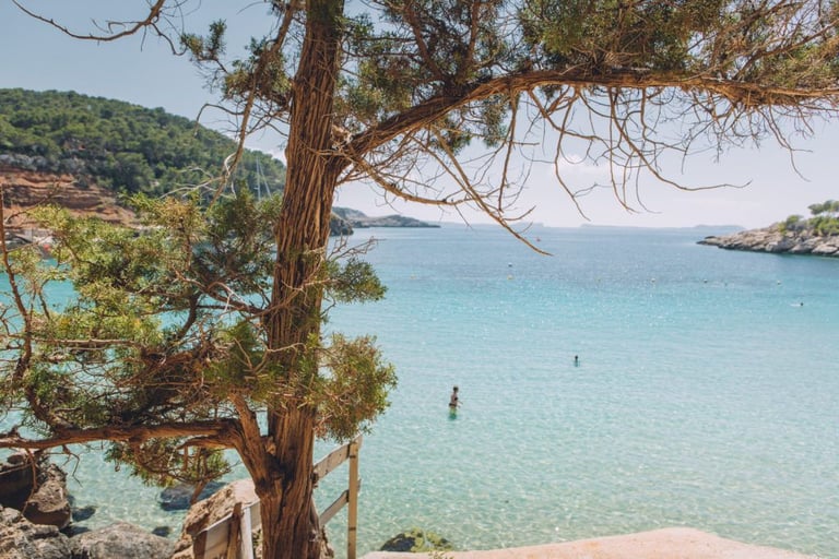 The Best Things to do in During September