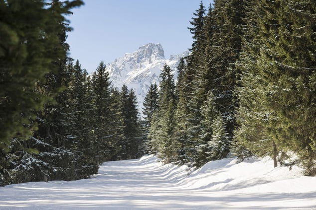 Meribel-ski-guide-landscape (1)