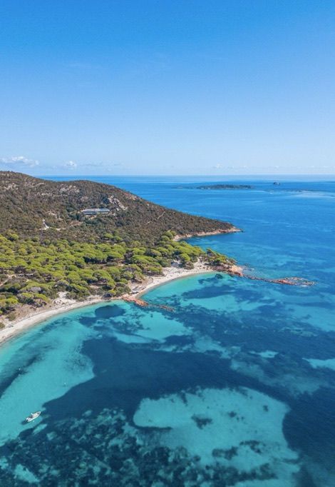 Plage-palombaggia-corse-plage1