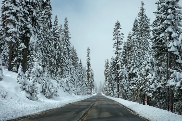 Skiing-in-Courchevel-road-through-forest