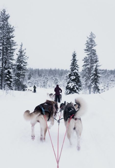 au-ski-en-famille-traineaux-ballade-min