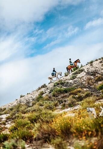 balade-a-cheval-comporta-dune