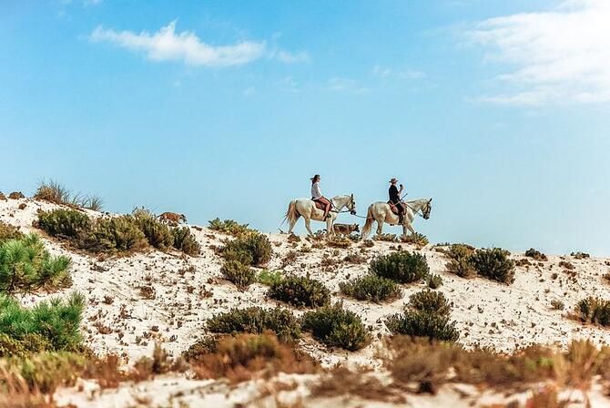 balade-a-cheval-comporta-dunes-sable