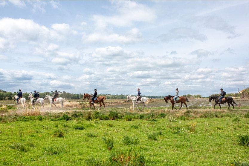 balade-a-cheval-comporta-ferme