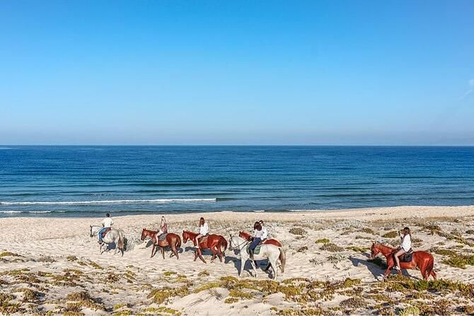 balade-a-cheval-comporta-groupe