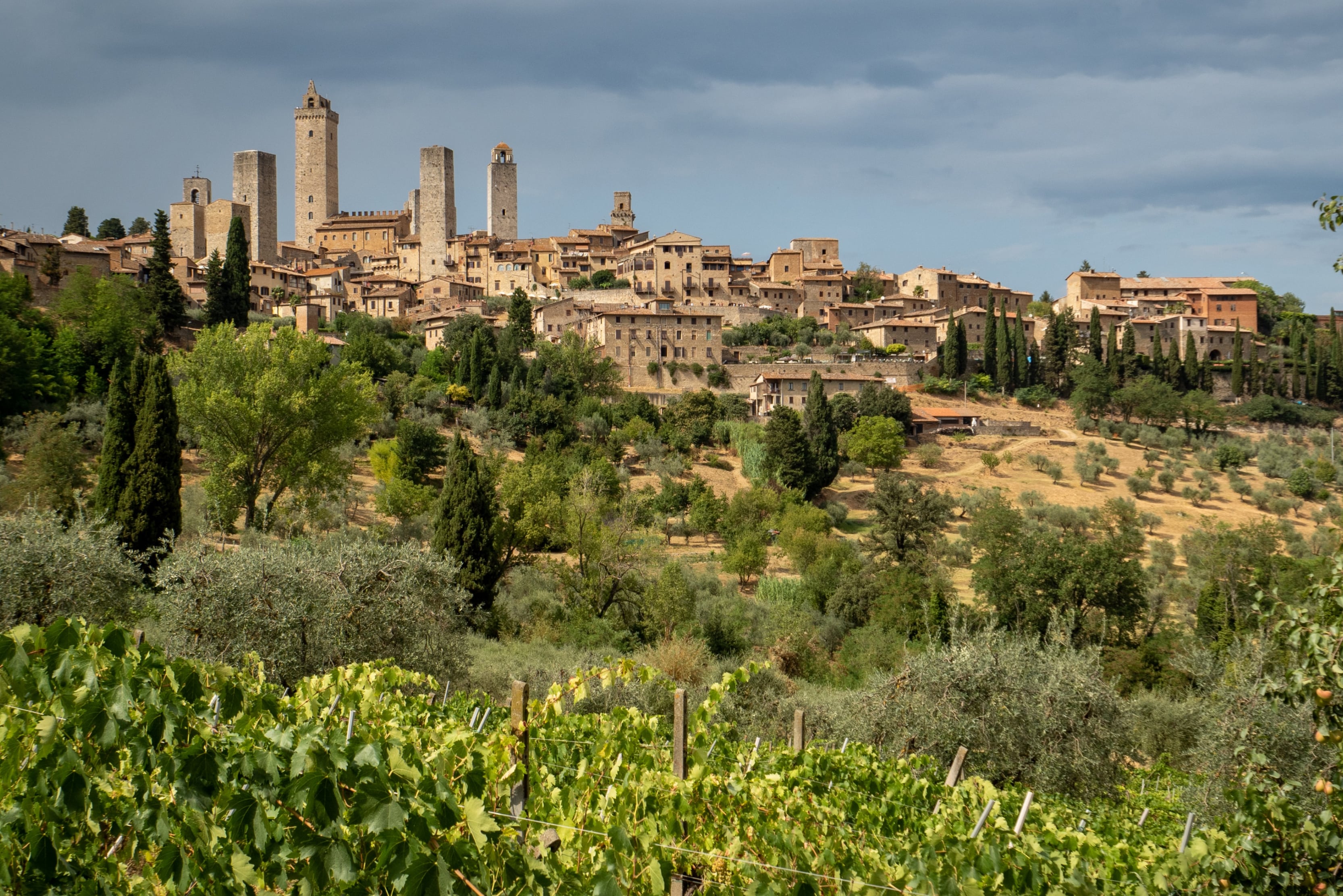 best-luxury-vineyard-holidays-europe-italy-mediaeval-city-vineyard-field-min