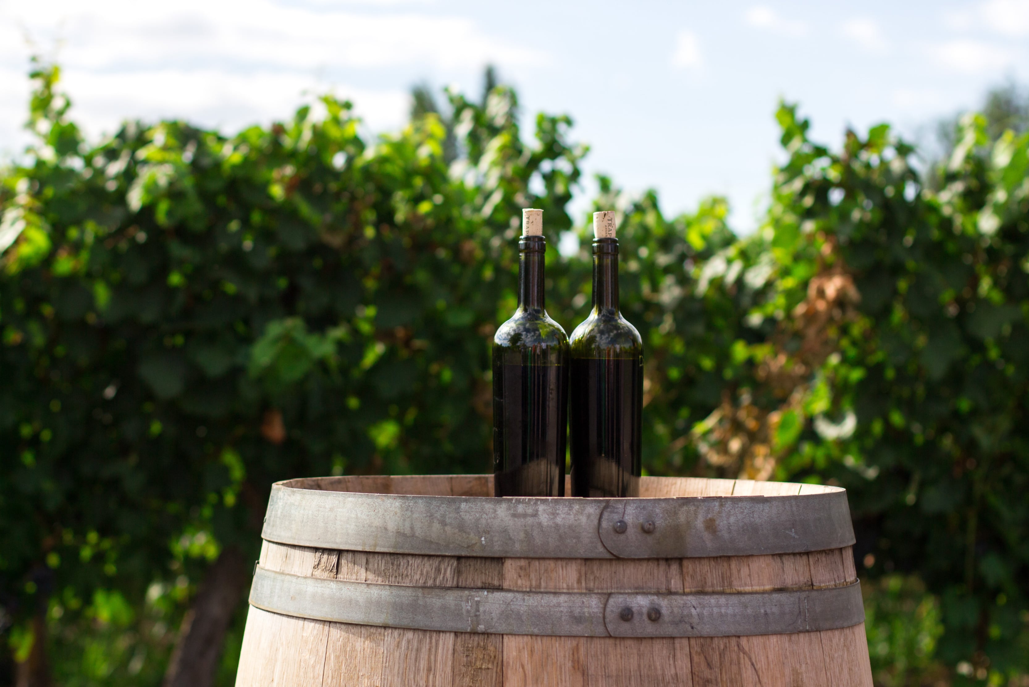 best-luxury-vineyard-holidays-europe-wine-bottles-barrel-field-min