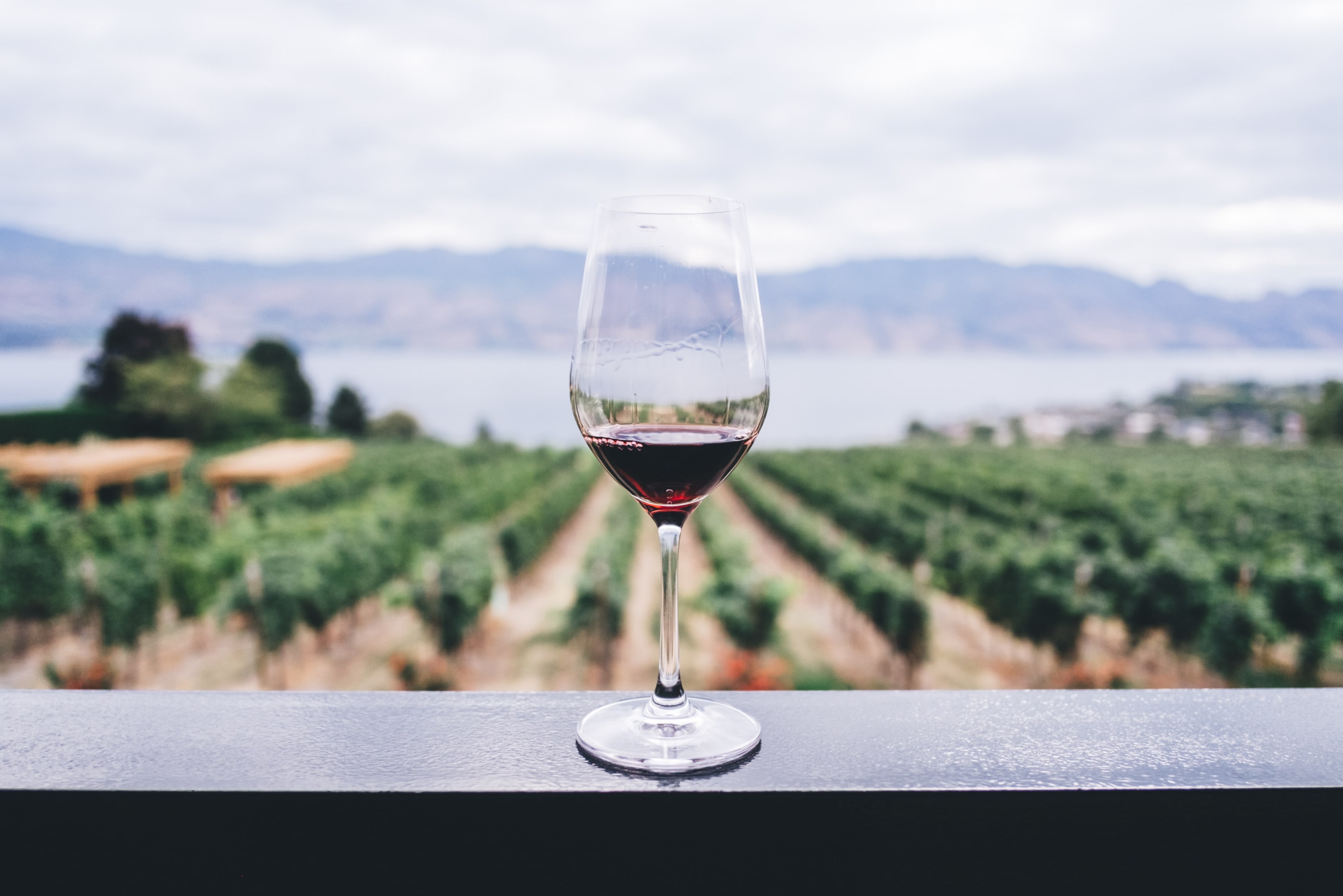 best-luxury-vineyard-holidays-europe-wine-glass-red-field-min