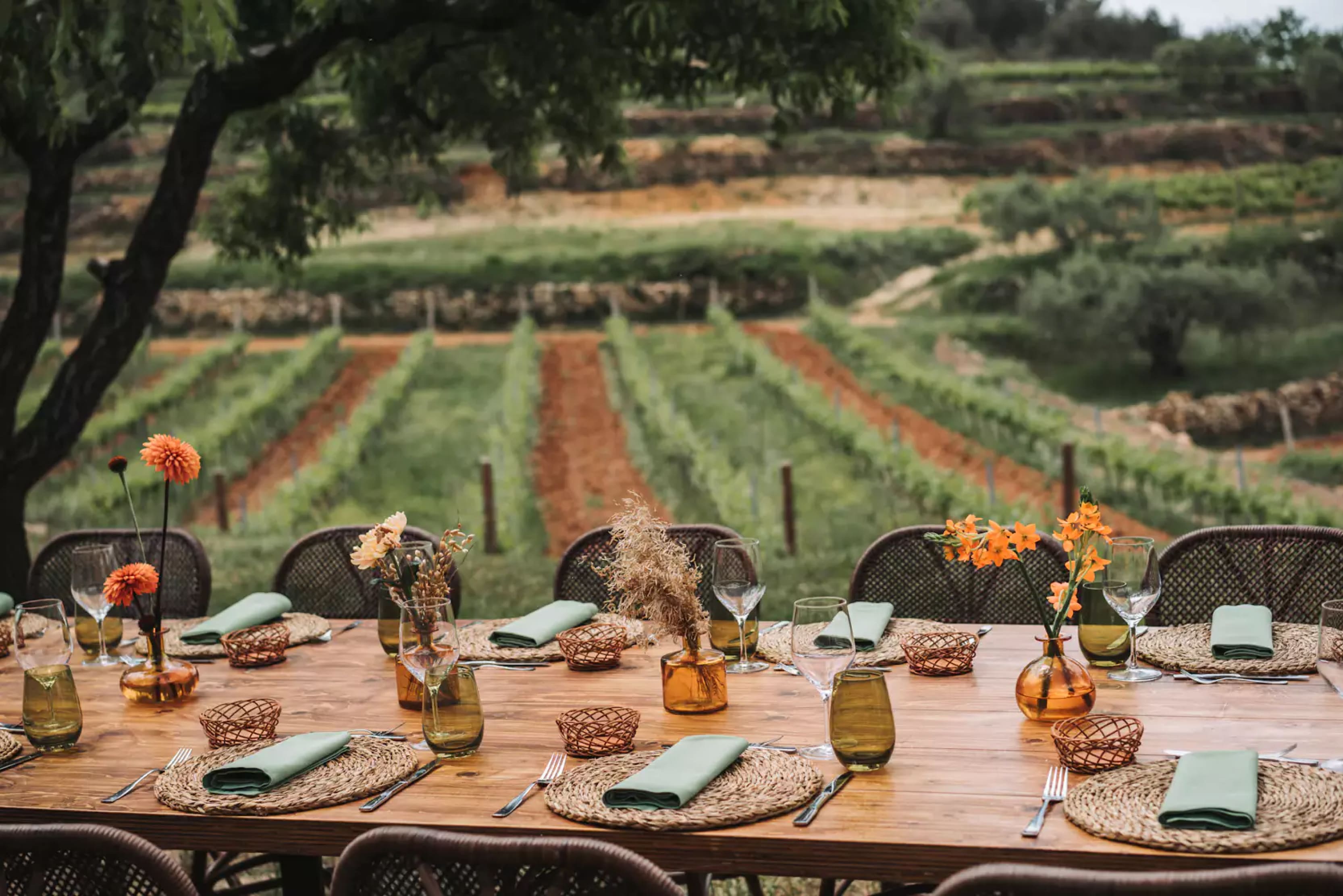 best-luxury-vineyard-holidays-spain-villa-jurate-table-fields-min