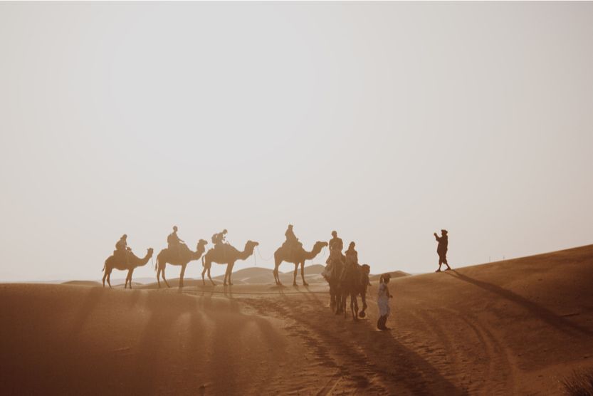 camel ride in the dessert