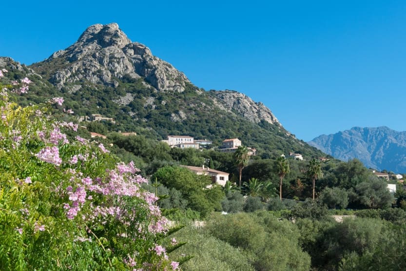 calvi-villa-rental-villa-pietragalla-view