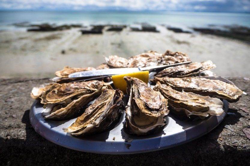 cap-ferret-france-oysters-min