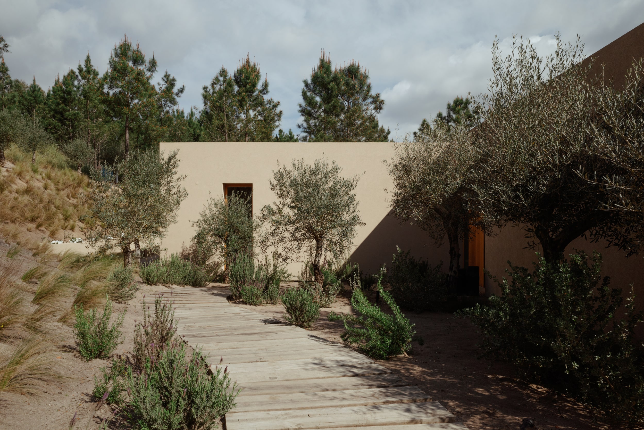 casa-oliveiras-nature-min