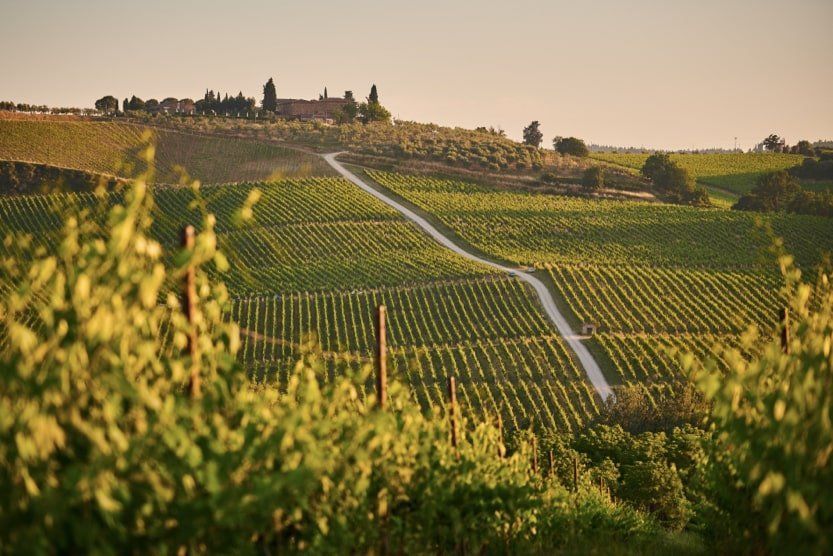 choses-uniques-a-faire-en-provence-vignoble