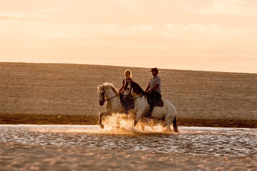 comporta-guide-horses-in-water