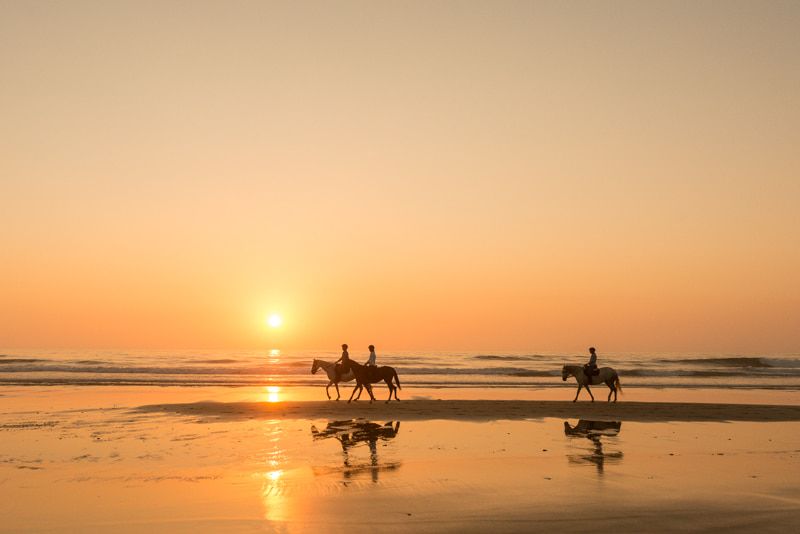 portugal-beach-holidays-horses