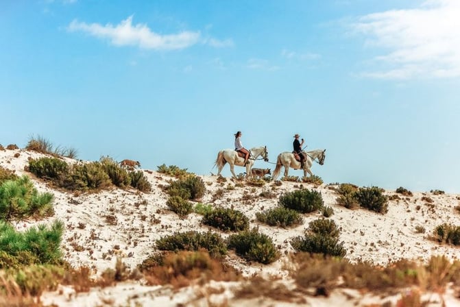 comporta_dune