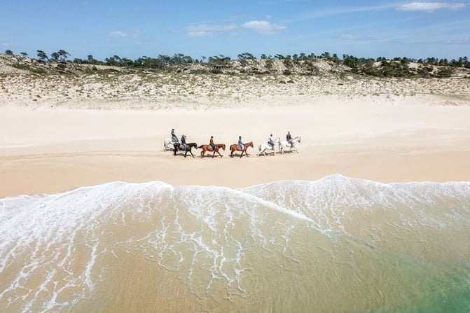 comporta_dunes_horses-beach