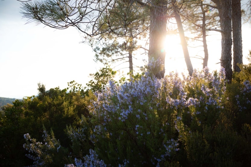 corsica-hiking-calanques