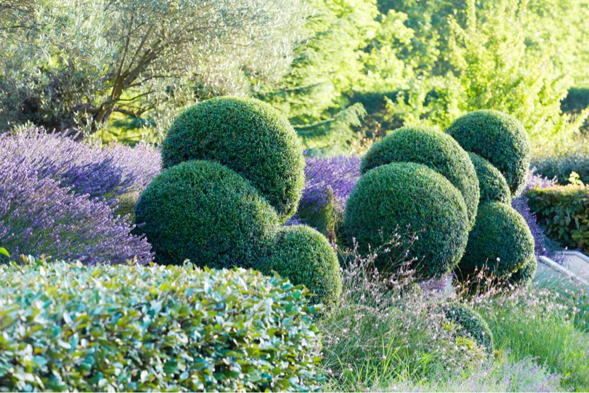 domaine-linsouciance-provence-villa-garden