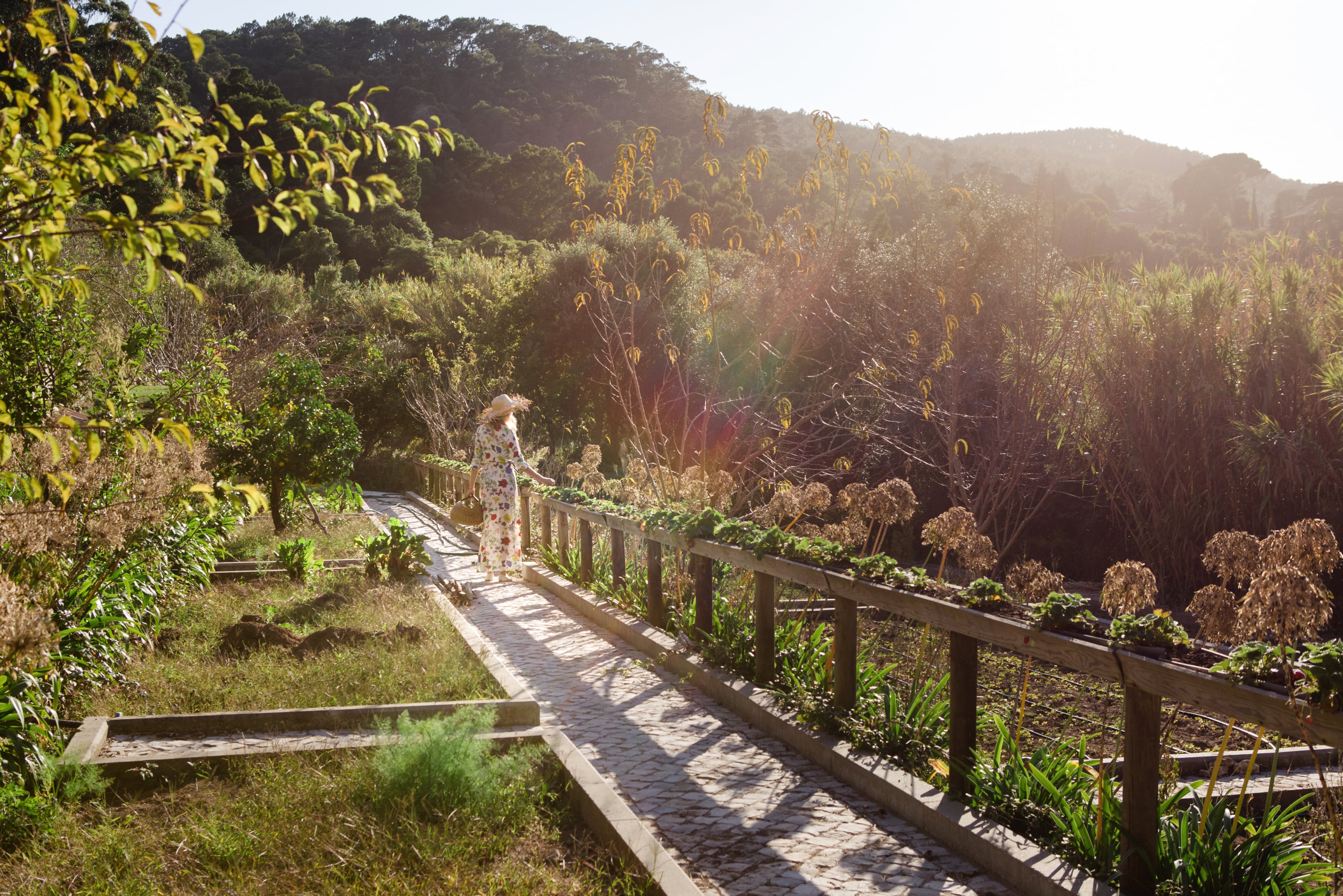 domaine-monserrate-aline-garden-min