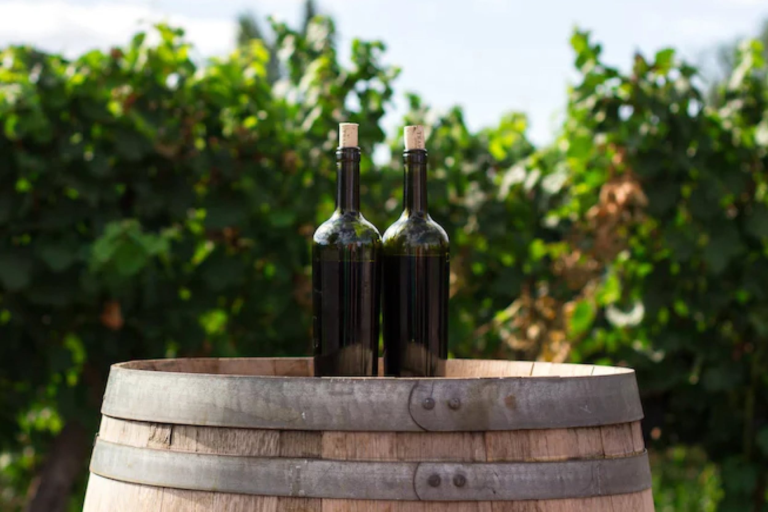 douro-valley-guide-wine-bottles-barrel-field-min