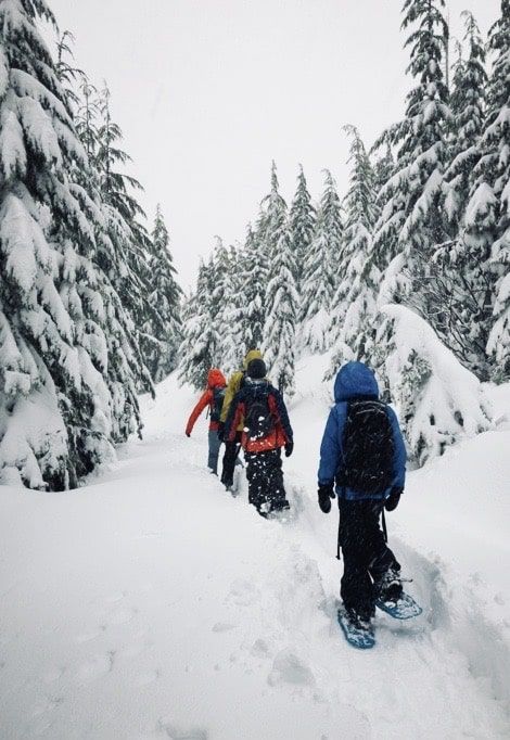 family-snow-holiday-walking