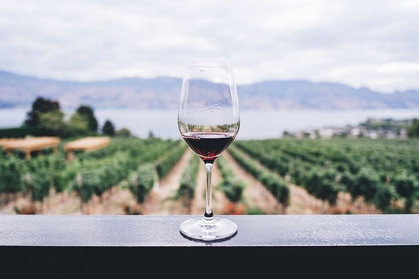 french-countryside-vacation-vineyard