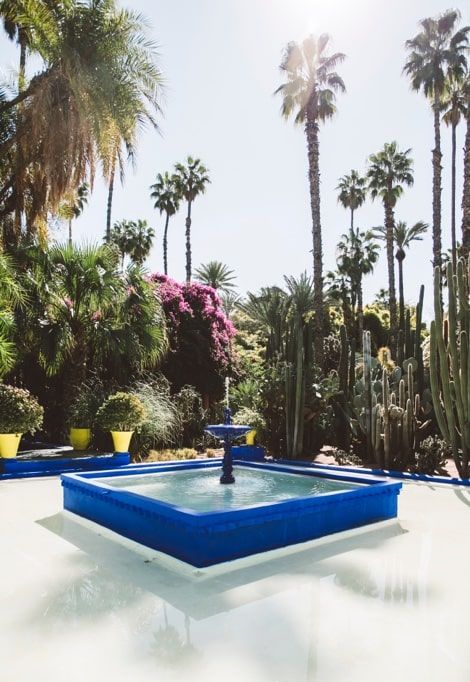 guide-marrakesh-jardin-majorelle-min