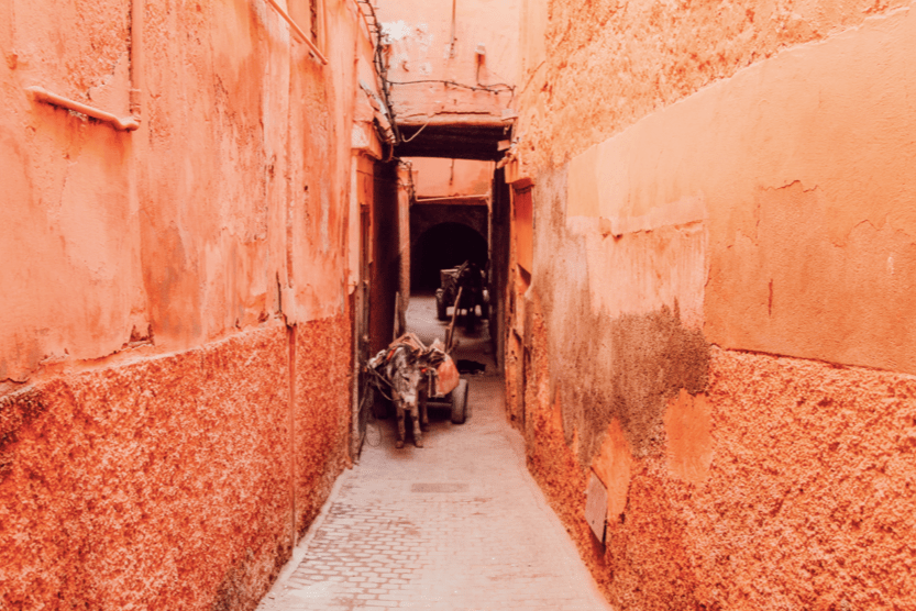 holiday-in-december-marrakech-min