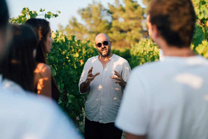 expert in vineyards with group