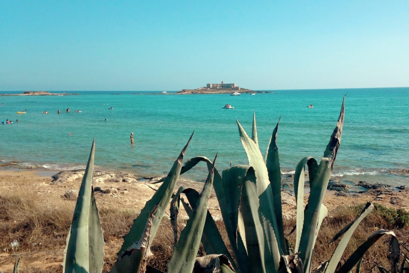 plantes-maritimes-sur-une-plage-de-rochers-devant-une-mer-bleue-turquoise-avec-des-baigneurs-et-une-petite-ile-dans-l-eau-avec-une-forteresse