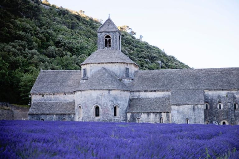 luberon-things-to-do-lavender