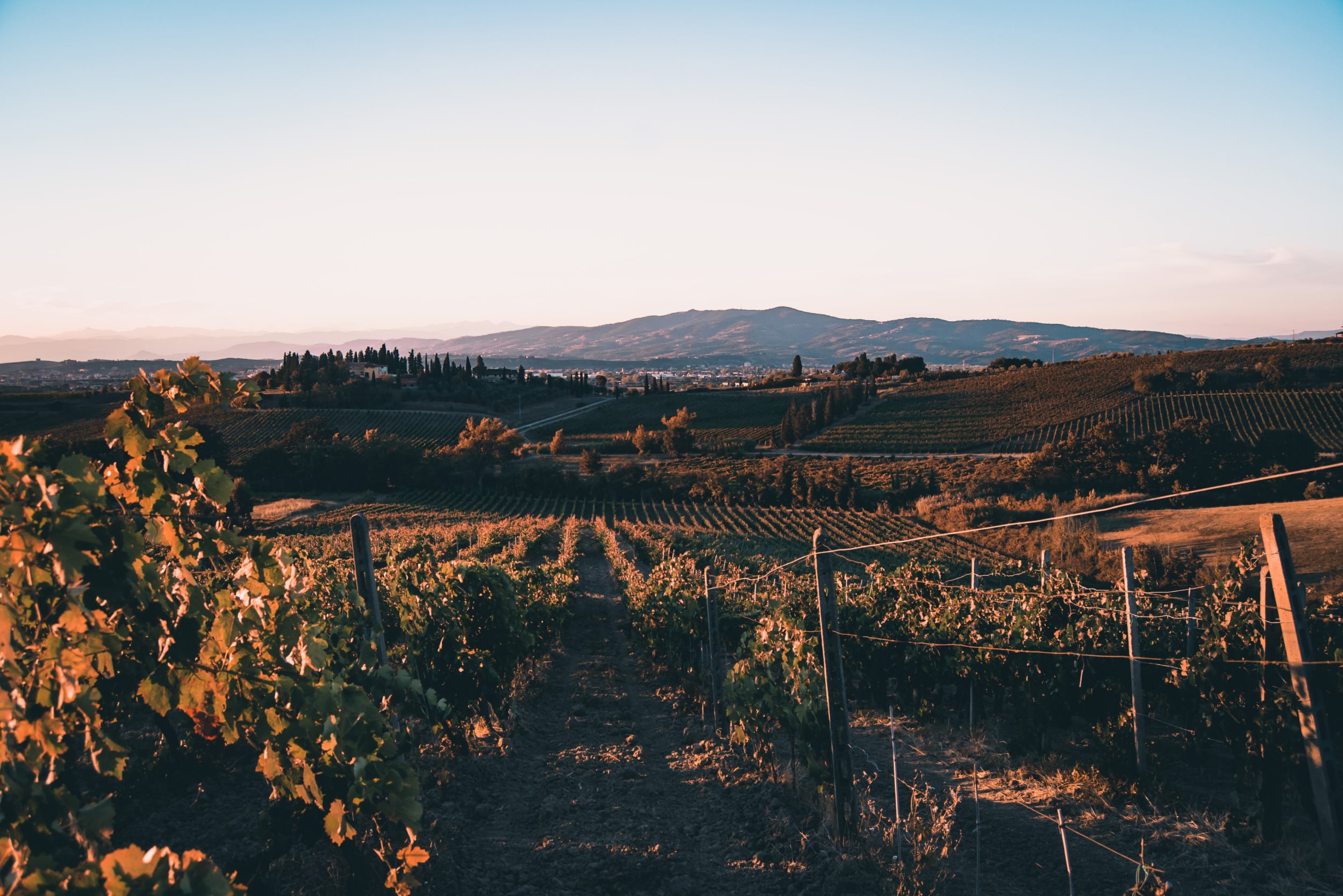 luxury-agritourism-in-italy-field-sunset-min