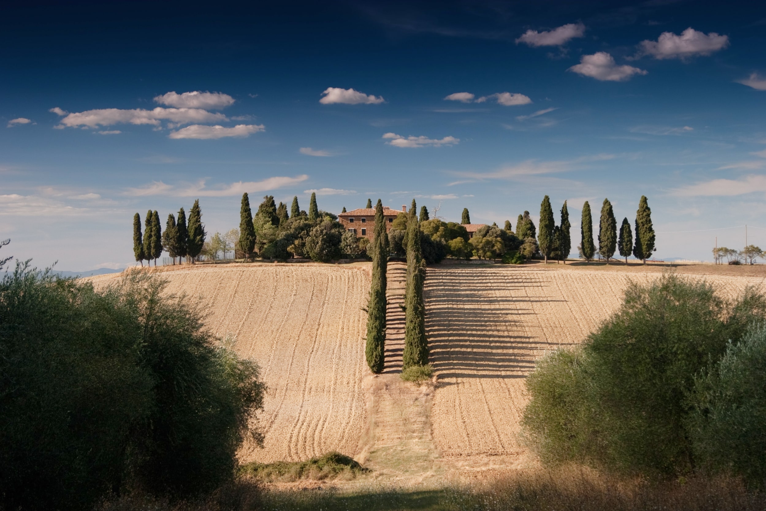 luxury-agritourism-in-italy-trees-house-field-min