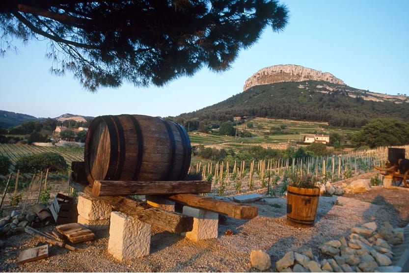 que-faire-a-cassis-vignerons-min