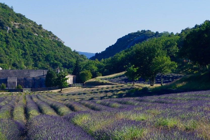 que-faire-dans-le-luberon-abbaye-vue-min