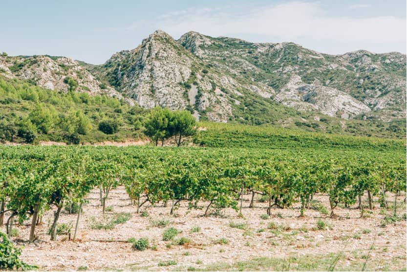 que-faire-en-provence-alpilles