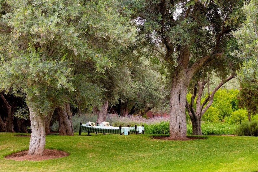 saghro-les-plus-beaux-jardins