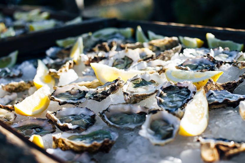 sublime-comporta-oysters