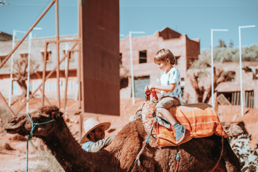 summer-family-ideas-camel-min