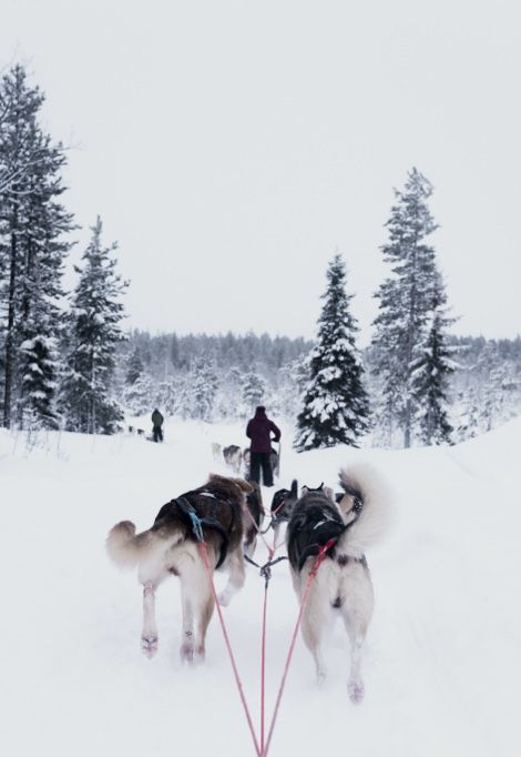 tailor-made-holidays-snow