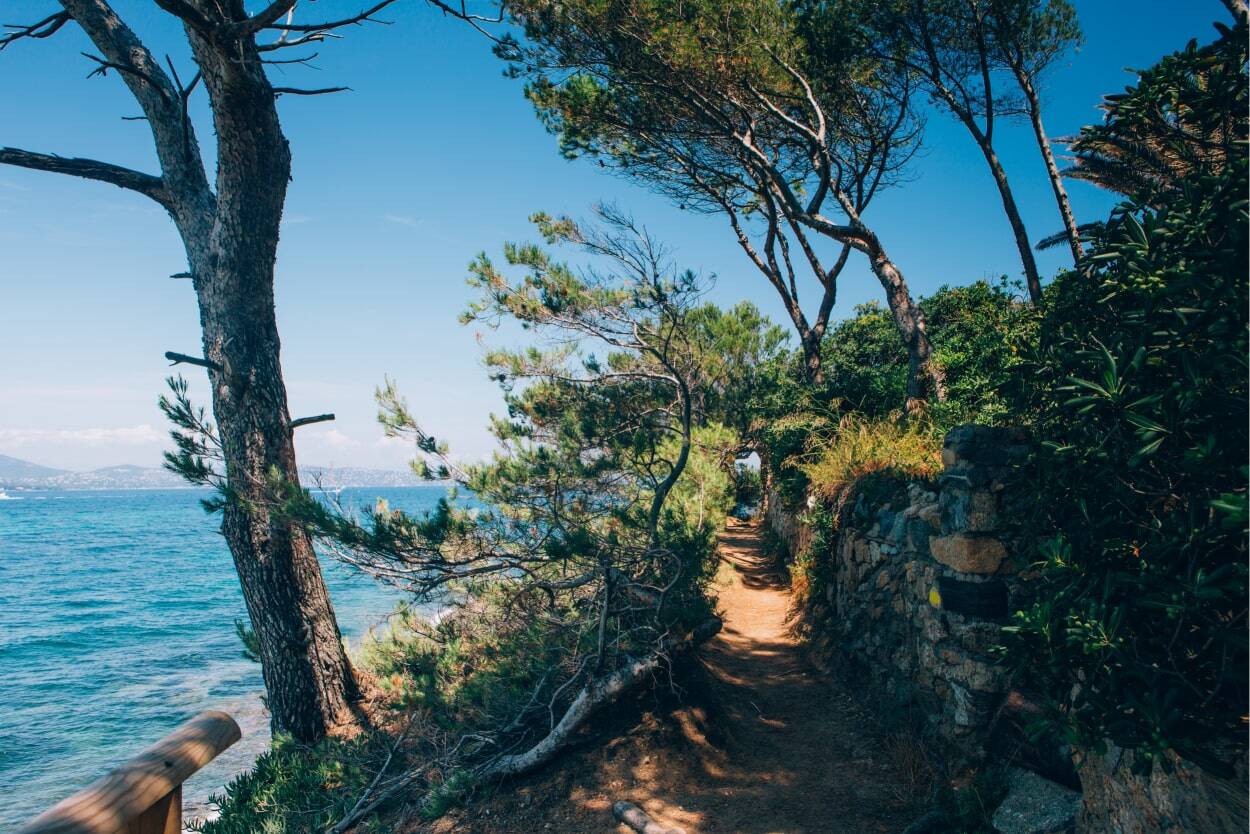 the most unique things to do in st tropez beach pathway surrounded by nature